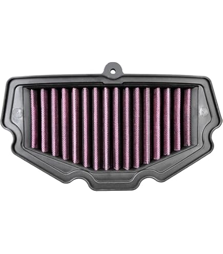 Amazon.com: Kawasaki OEM Air Filter Ninja ZX1000 ZX10R 04-07 11013
